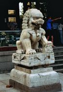 Stone Lion, Old Town, Nanjing